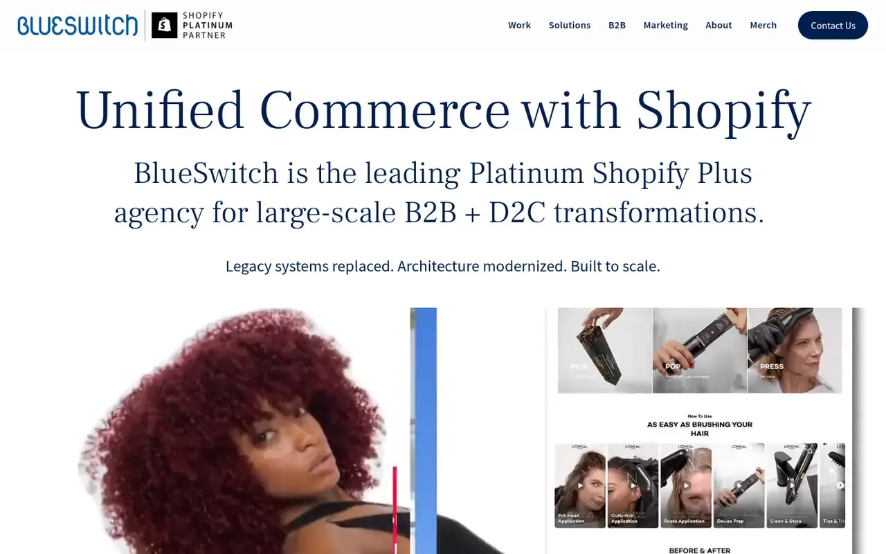 BlueSwitch home page