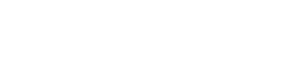 DS logo