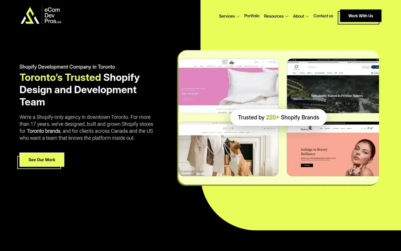eCommerce Development Pros home page