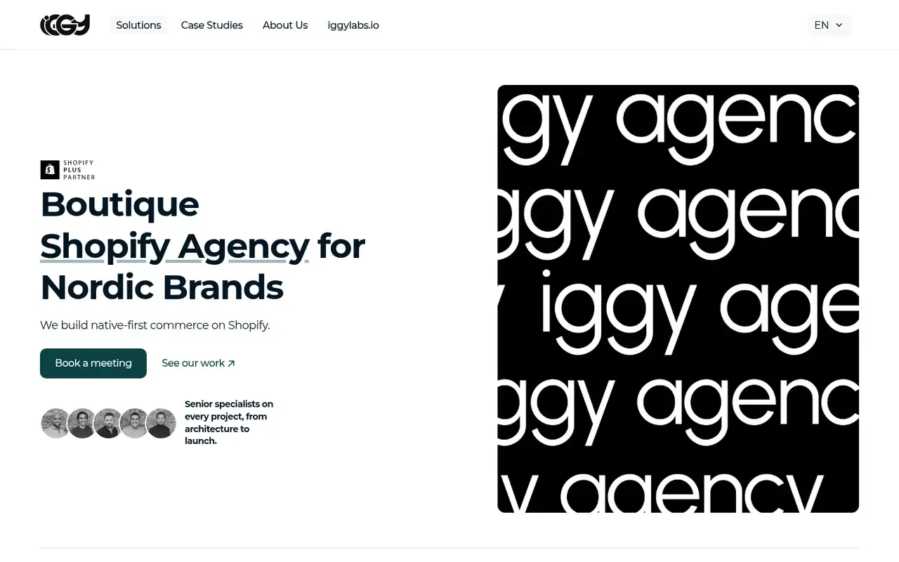 Iggy Agency home page