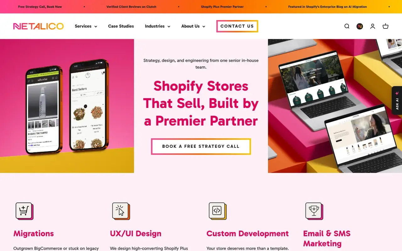 Netalico home page