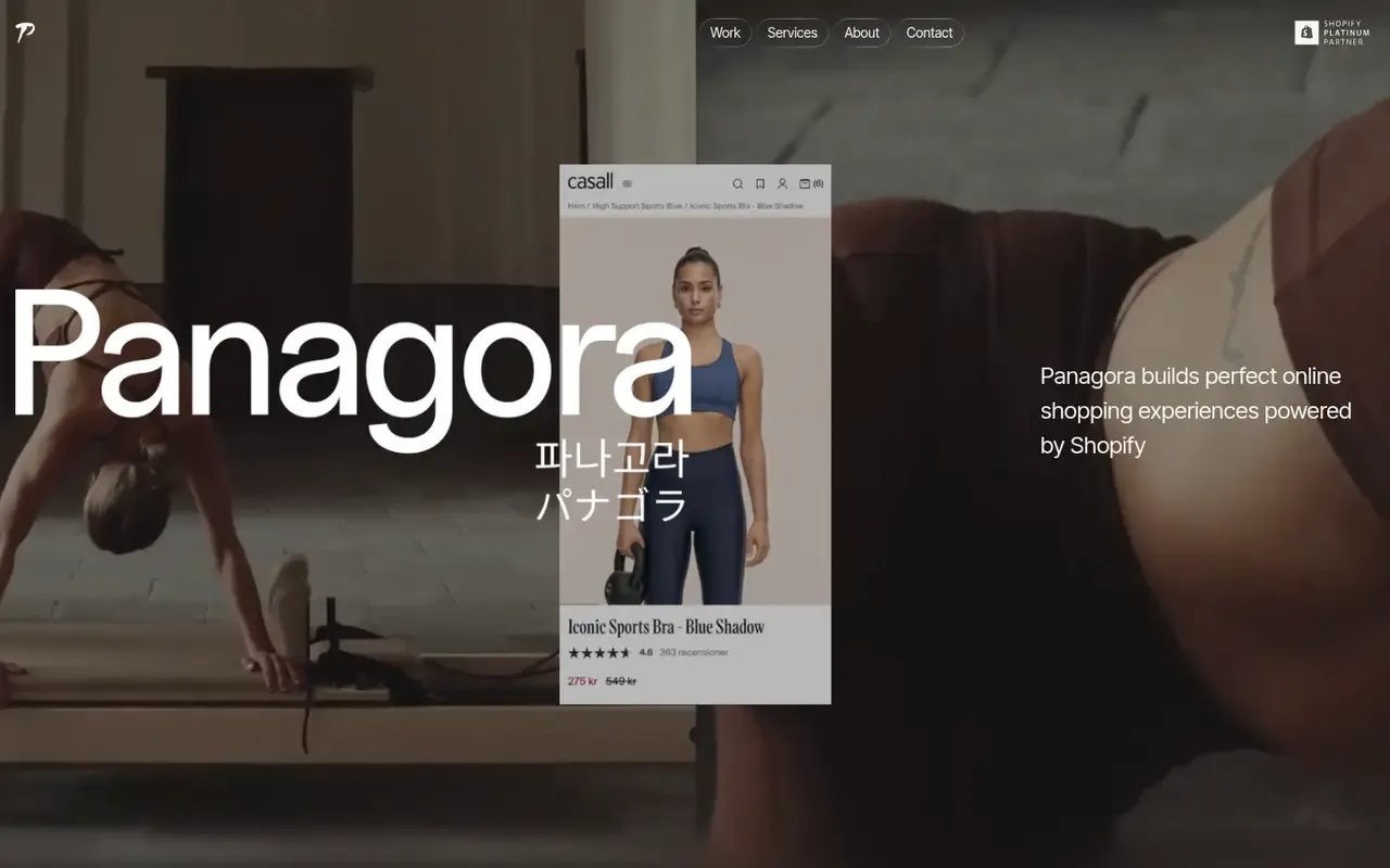 Panagora home page