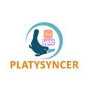 Platy Syncer Woocommerce to Etsy