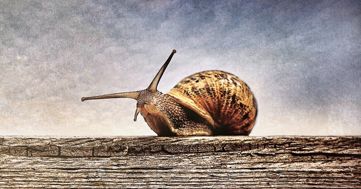 7 Things That Are Slowing Your Saas Growth Down