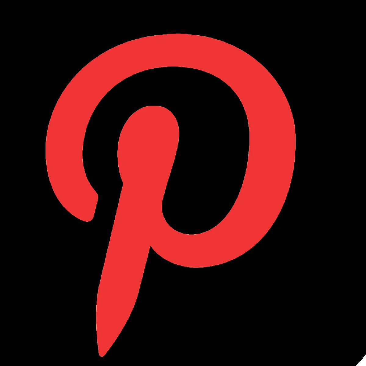  Pinterest Pixel Tag ‑ PinTag